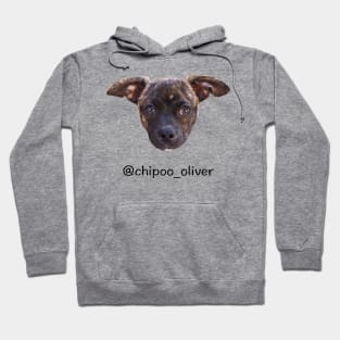 Instagram: @chipoo_oliver Hoodie